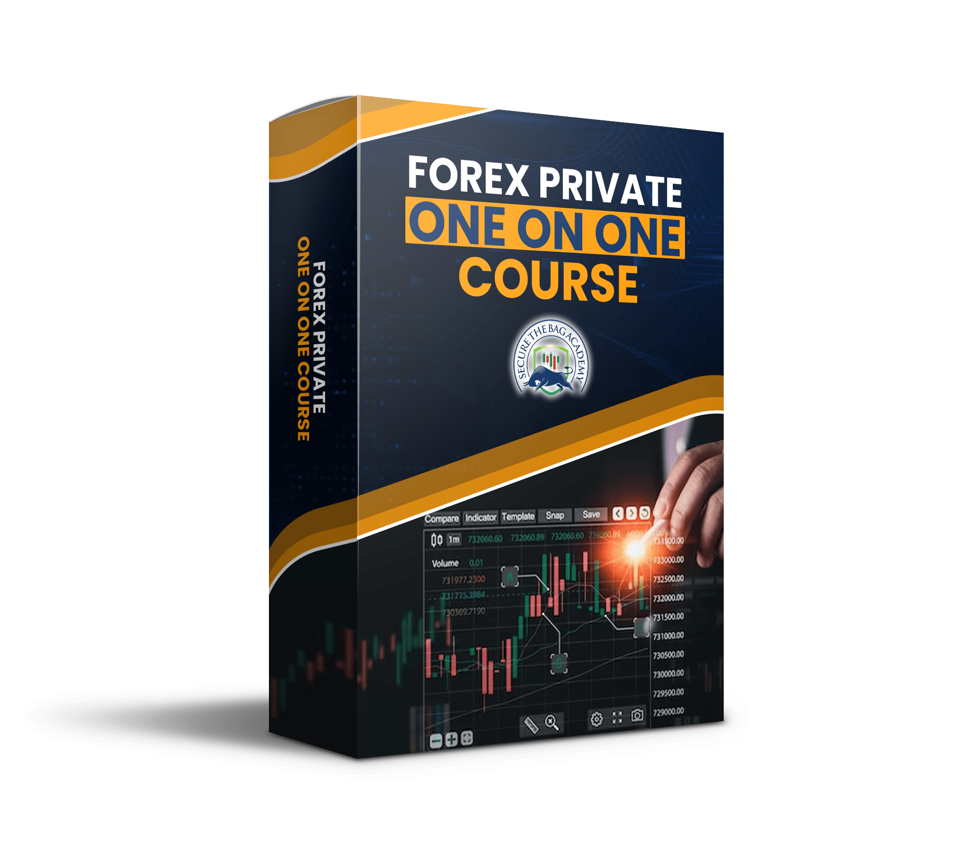 Forex One on One Private Course